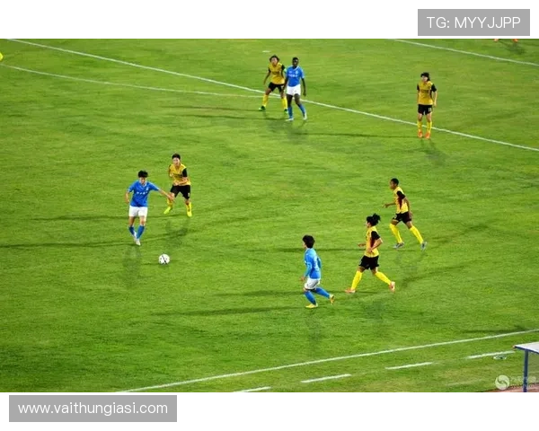 央视足球解说：激情场上，解读赛场光影